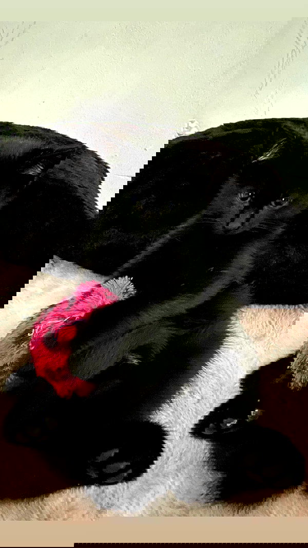 aekamee aekamee archive image