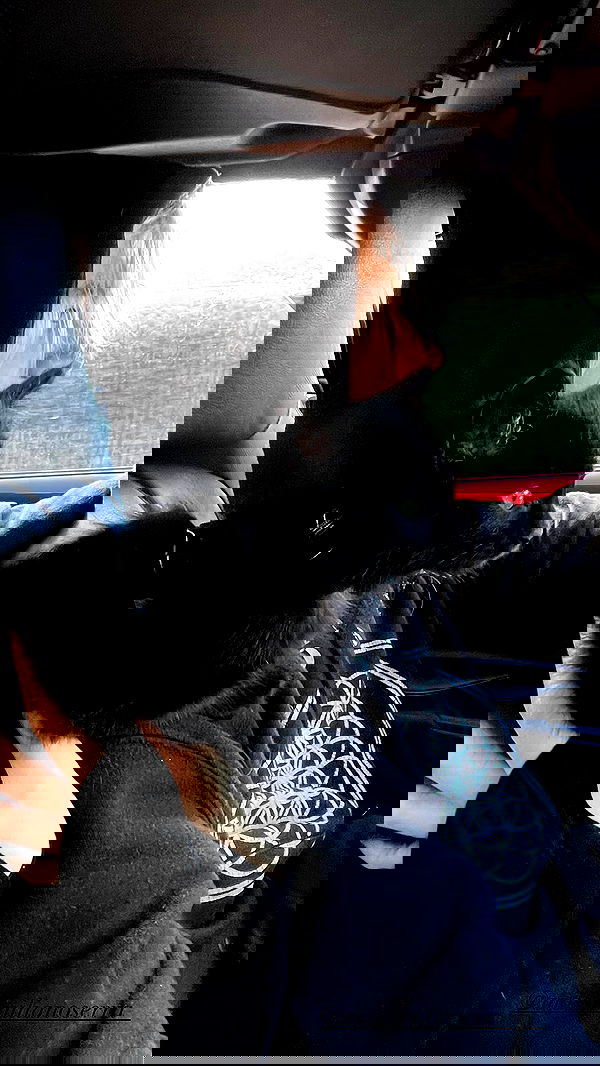 aekamee aekamee archive image