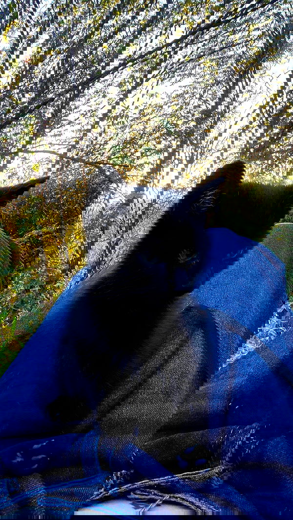 aekamee aekamee archive image