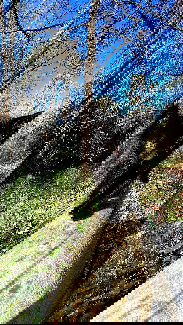 aekamee aekamee archive image