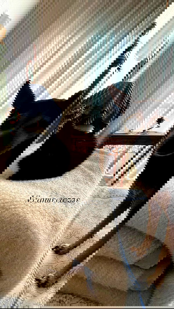 aekamee aekamee archive image