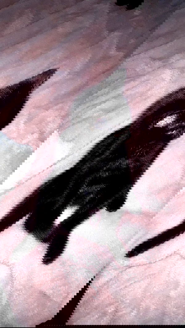 aekamee aekamee archive image