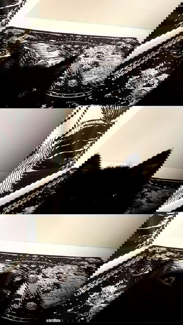 aekamee aekamee archive image