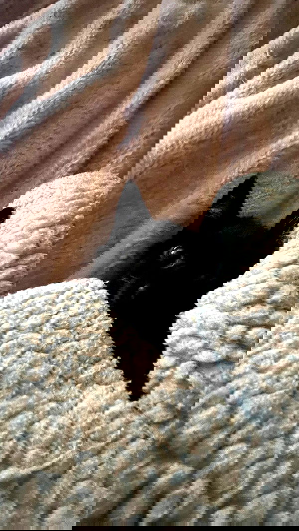 aekamee aekamee archive image