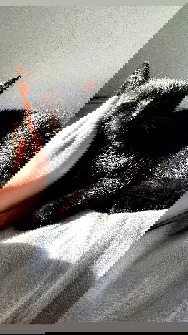 aekamee aekamee archive image