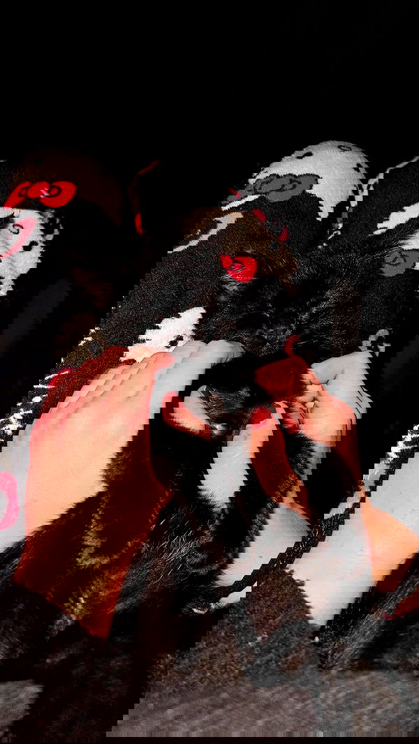 aekamee aekamee archive image