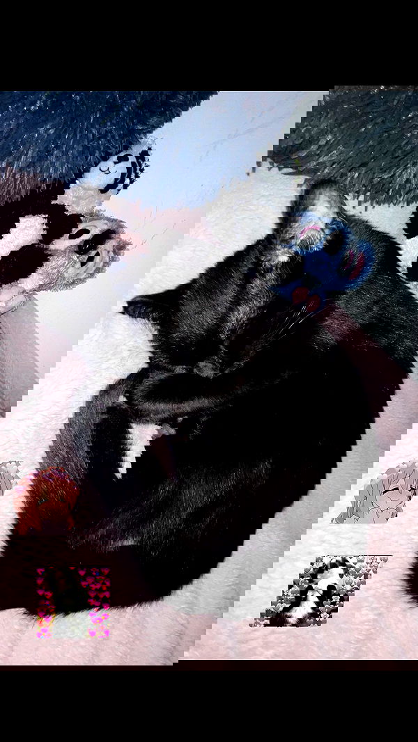 aekamee aekamee archive image