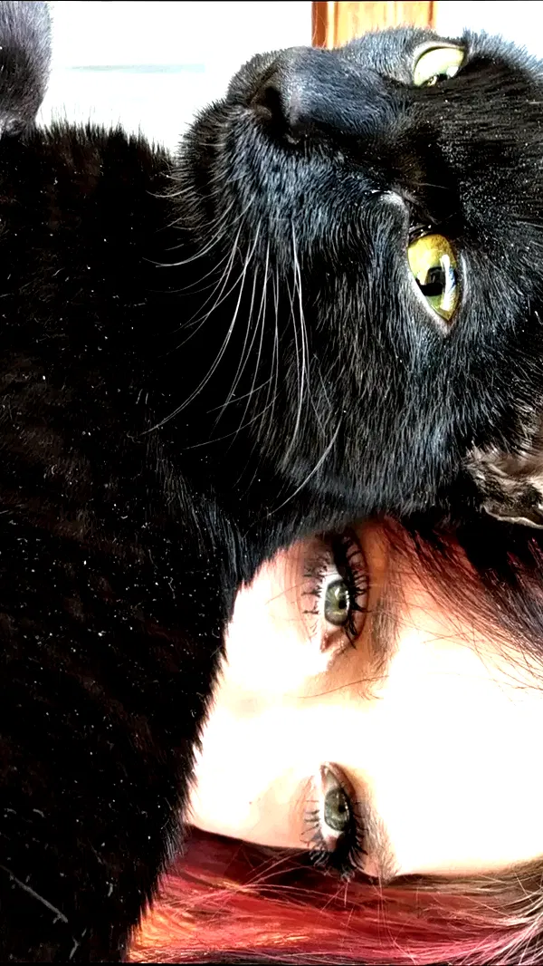 aekamee aekamee archive image