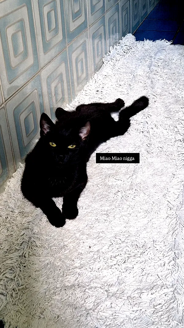 aekamee aekamee archive image