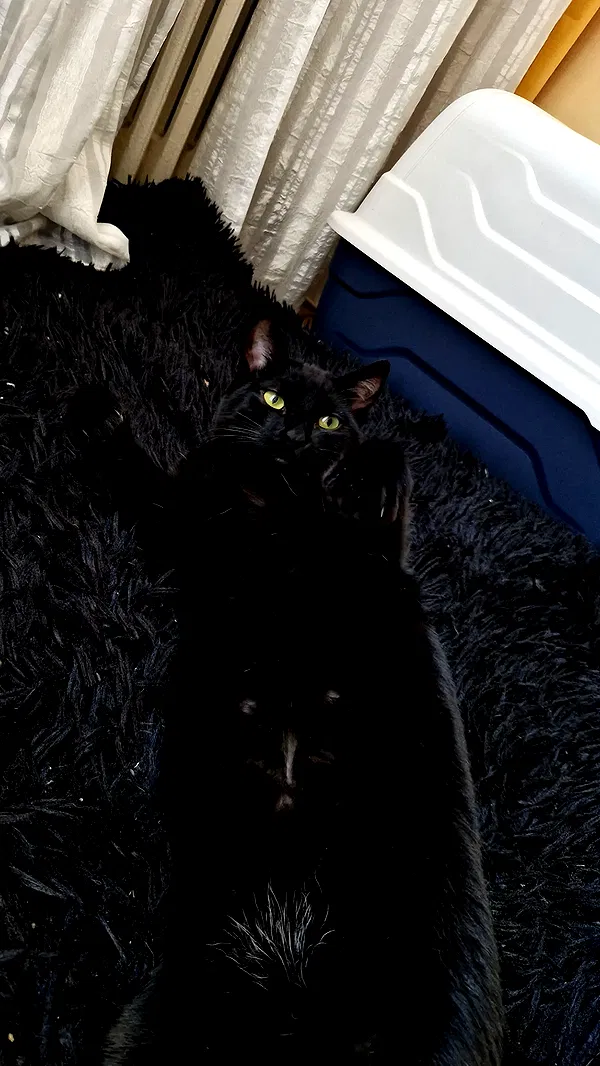 aekamee aekamee archive image