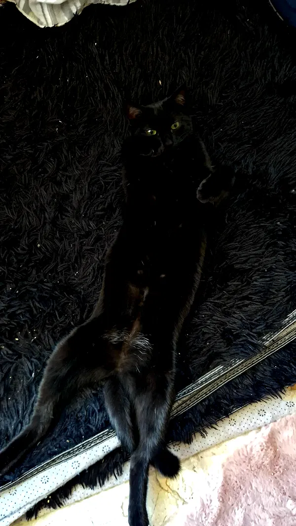 aekamee aekamee archive image