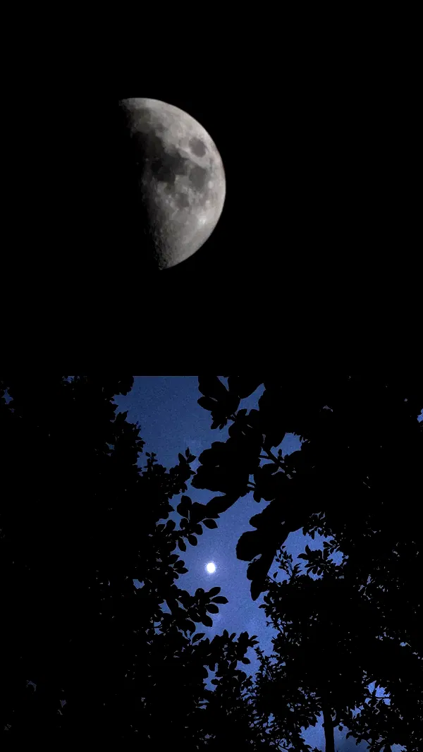 aekamee aekamee archive image