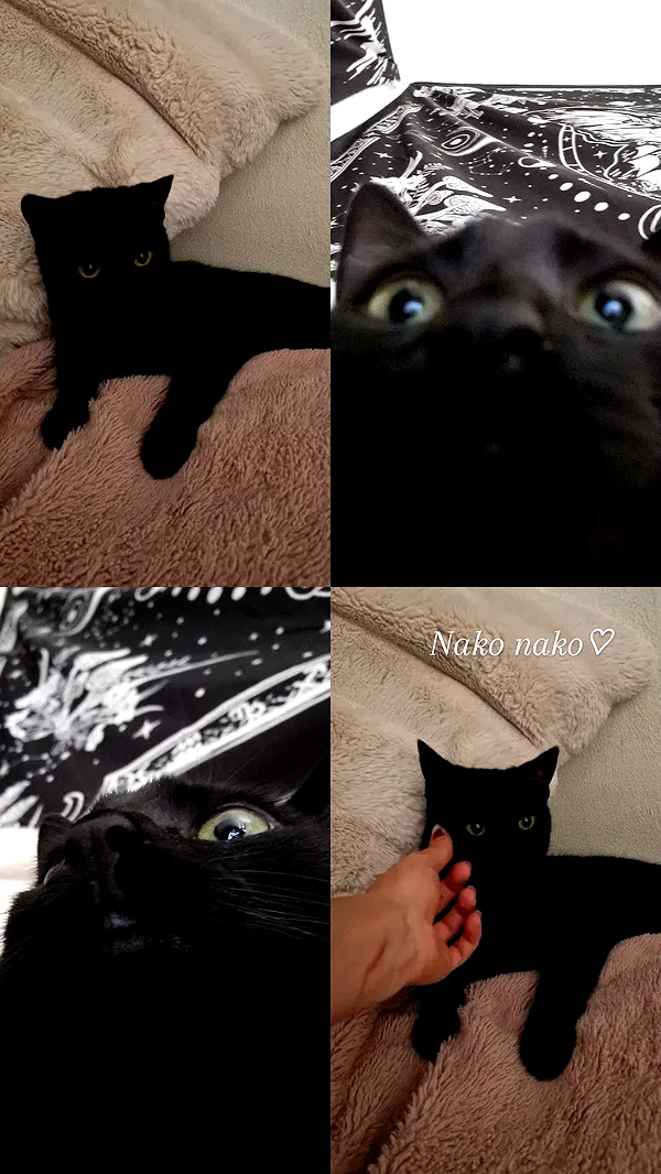 aekamee aekamee archive image