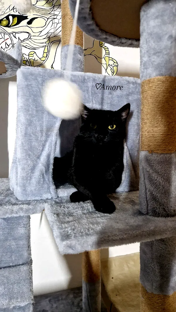 aekamee aekamee archive image