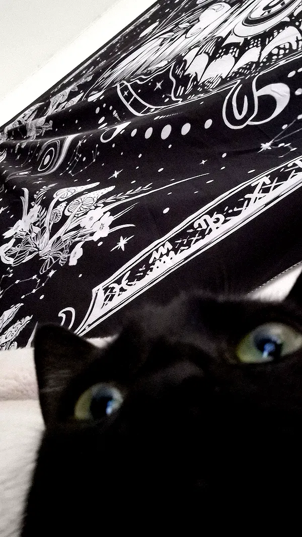 aekamee aekamee archive image