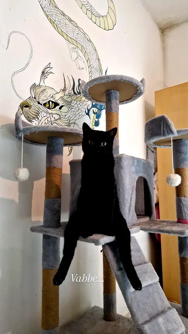 aekamee aekamee archive image