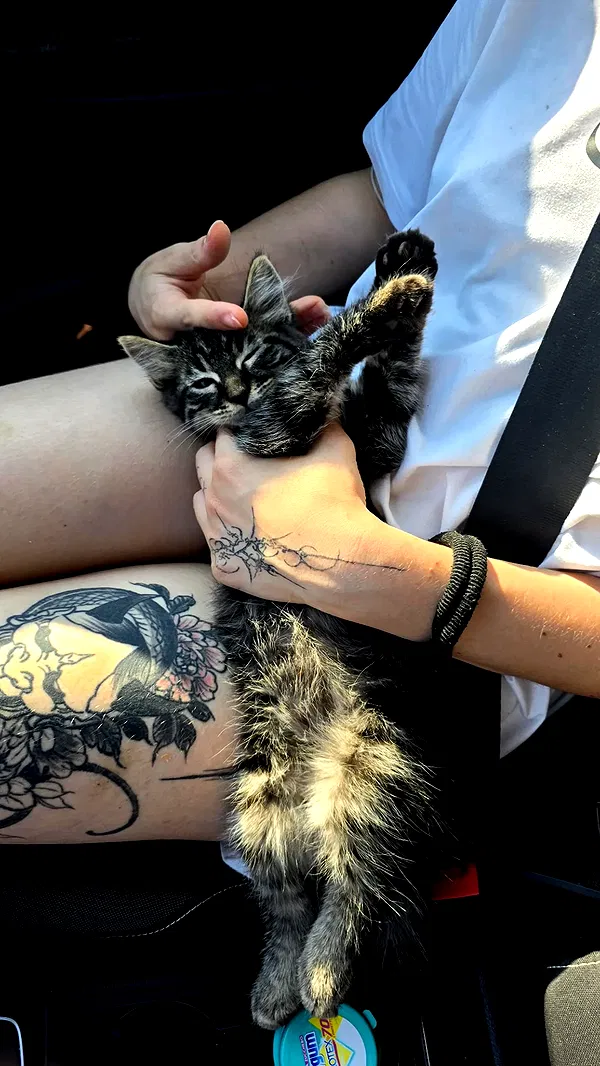 aekamee aekamee archive image