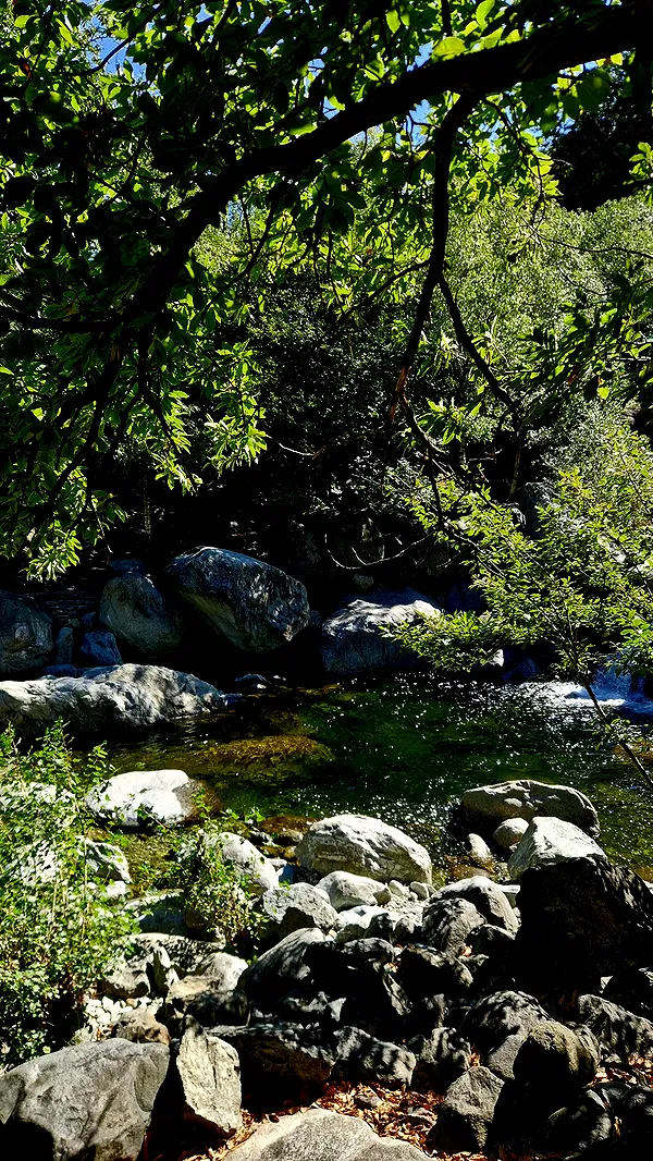 aekamee aekamee archive image