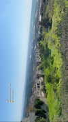 agam._.harel Altpins Profile Picture
