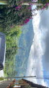 agam._.harel Altpins Profile Picture