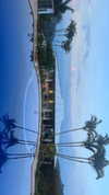 agam._.harel Altpins Profile Picture