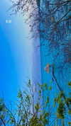 agam._.harel Altpins Profile Picture