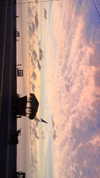agam._.harel Altpins Profile Picture