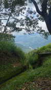 agam._.harel Altpins Profile Picture