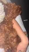 agam._.harel Altpins Profile Picture