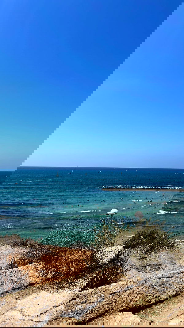 agam_nachman agam_nachman archive image