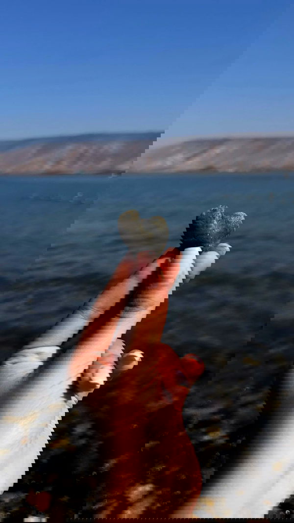 agam_nachman agam_nachman archive image