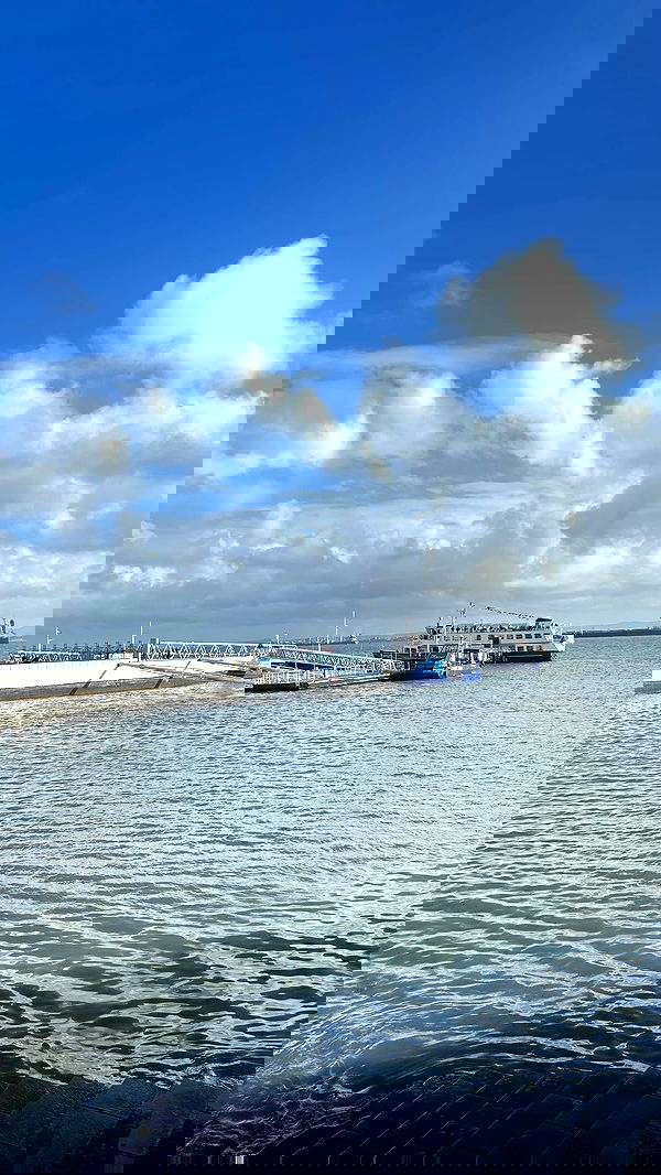 agam_nachman agam_nachman archive image