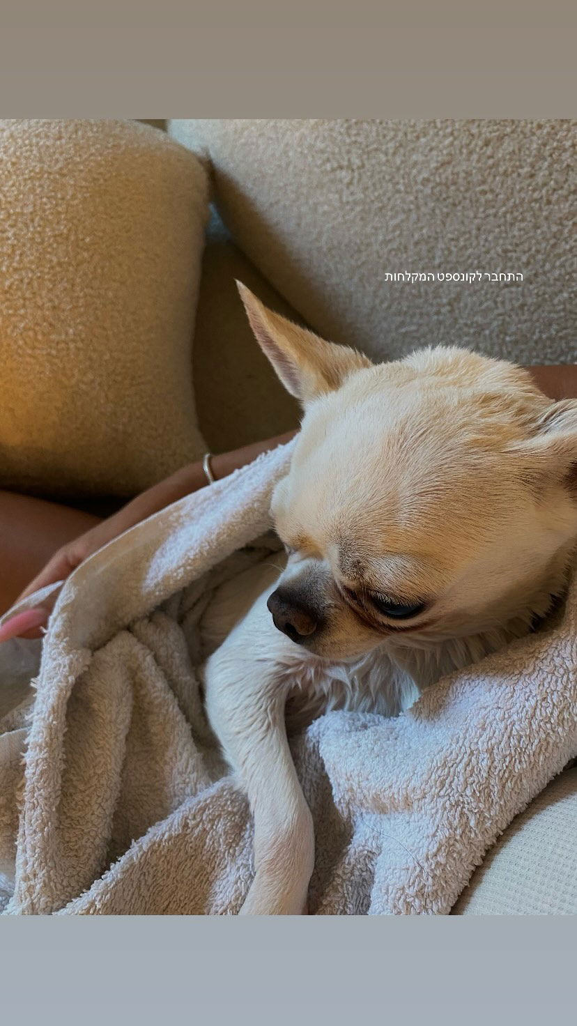 agambuzaglo122 instagram image archive image