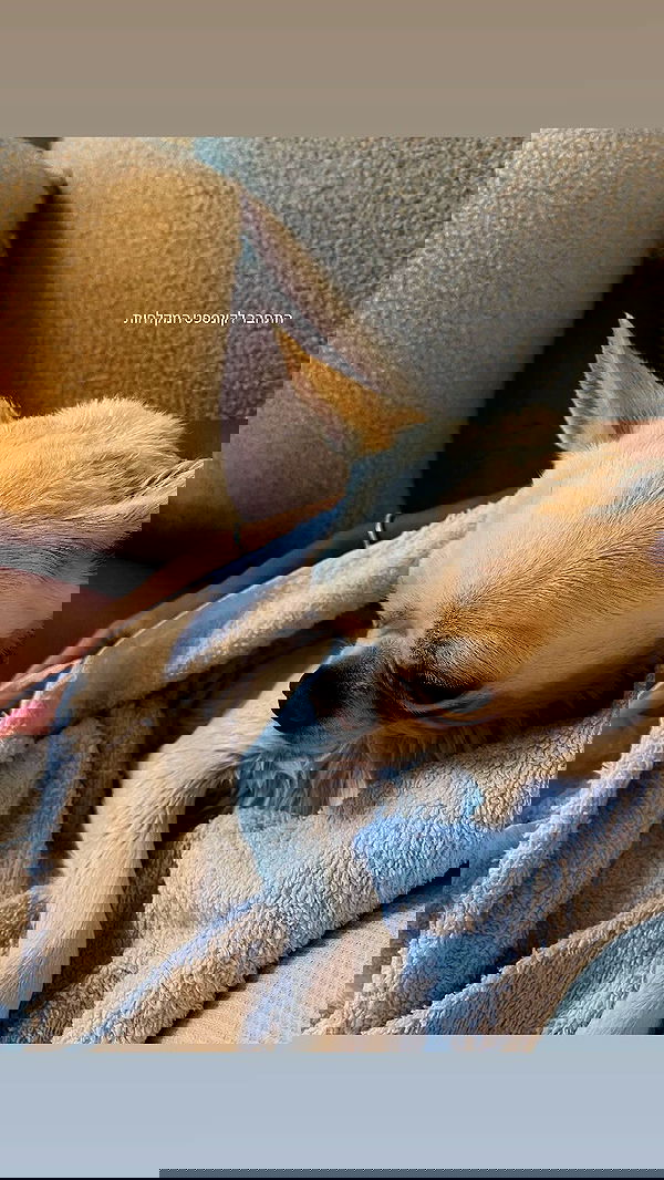 agambuzaglo122 image ~ Altpins