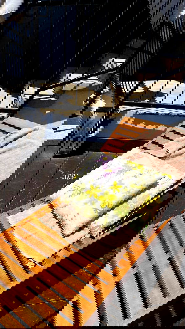 agambuzaglo122 image ~ Altpins