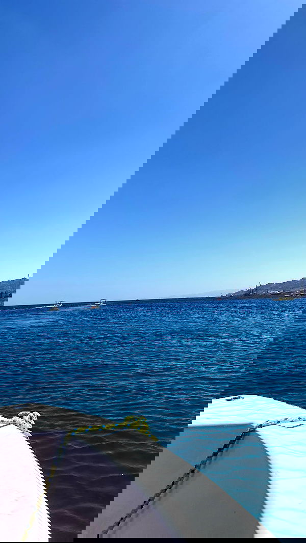 agambuzaglo122 image ~ Altpins