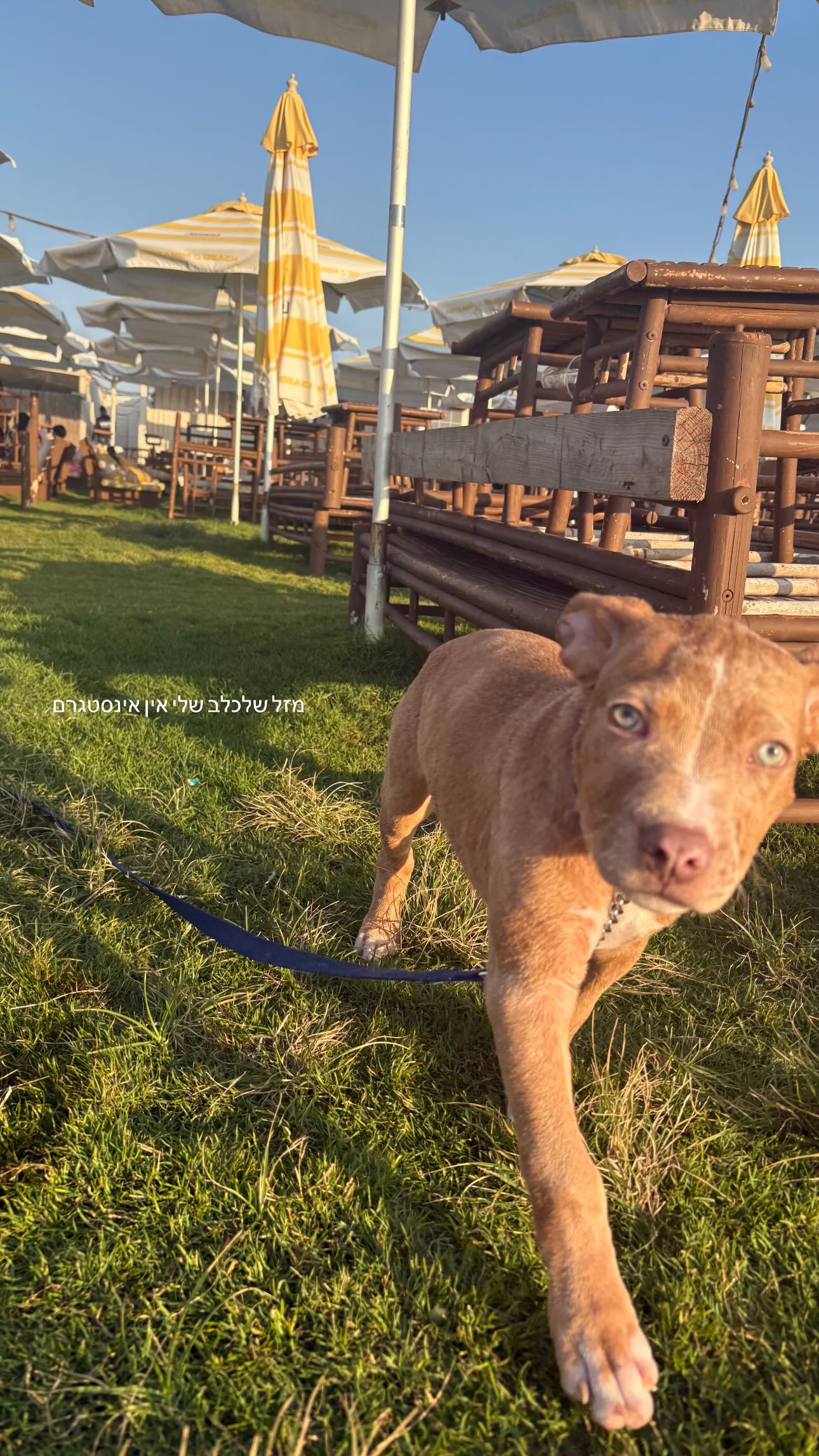 agambuzaglo122 instagram image archive image