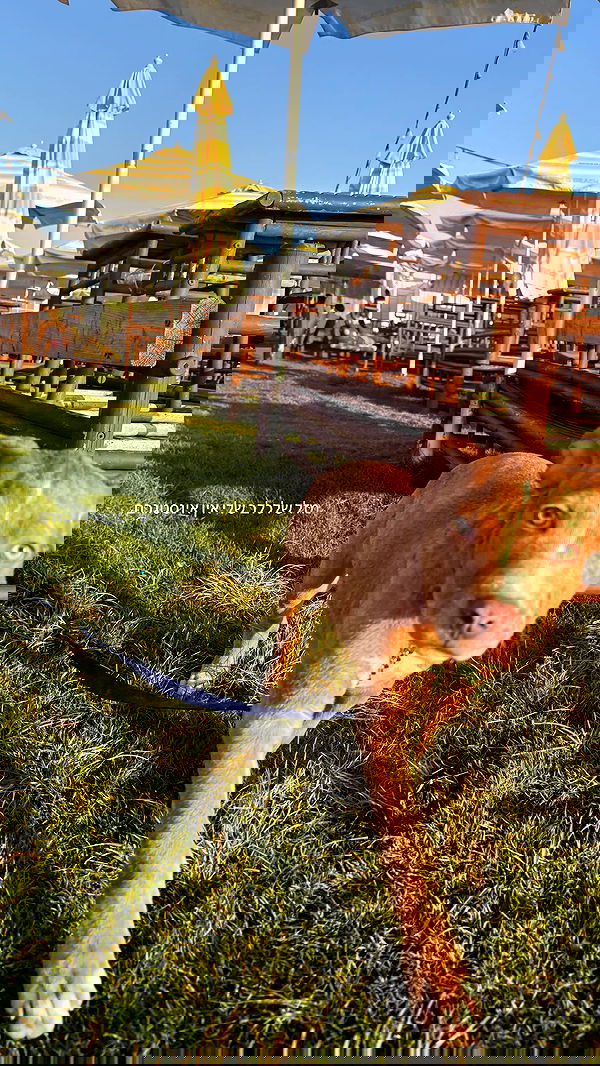 agambuzaglo122 image ~ Altpins