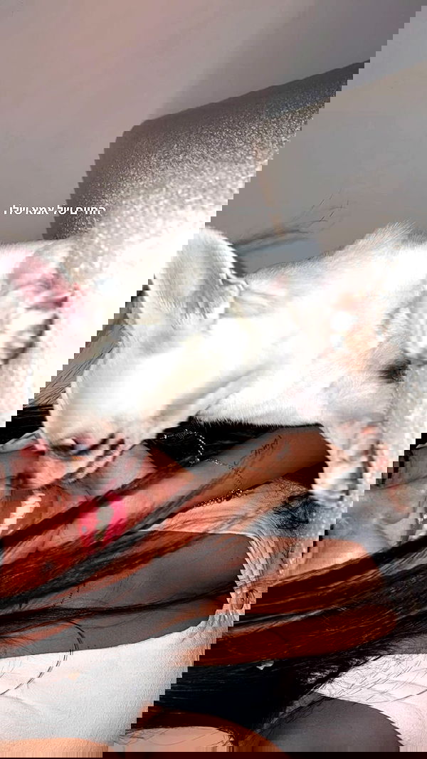 agambuzaglo122 image ~ Altpins