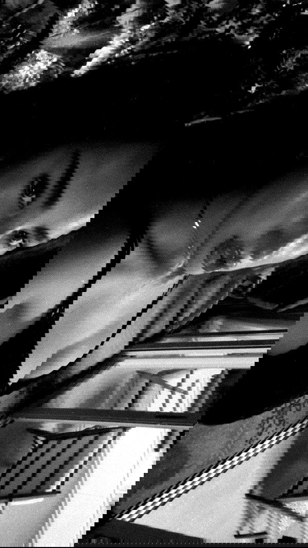 agambuzaglo122 image ~ Altpins