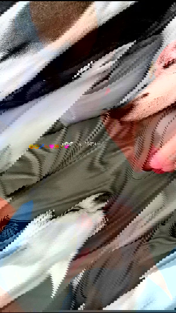 agambuzaglo122 image ~ Altpins