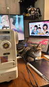 akeri.homura Altpins Profile Picture