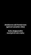 aldreann Altpins Profile Picture