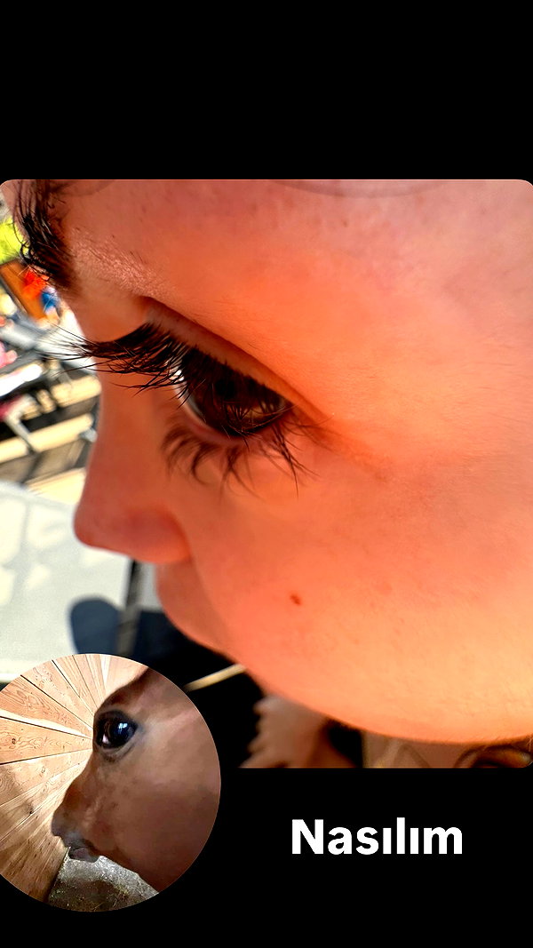 aldreann instagram image archive image