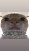 aleksandraverse Altpins Profile Picture