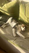alex.banin Altpins Profile Picture