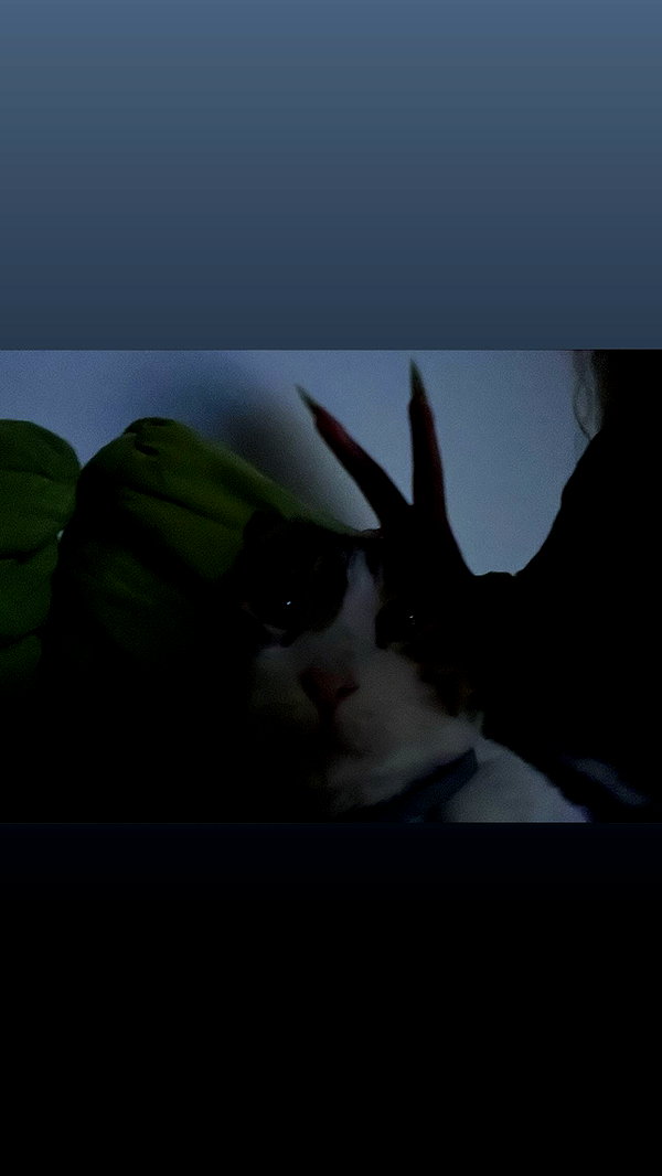 alex.banin instagram image archive image