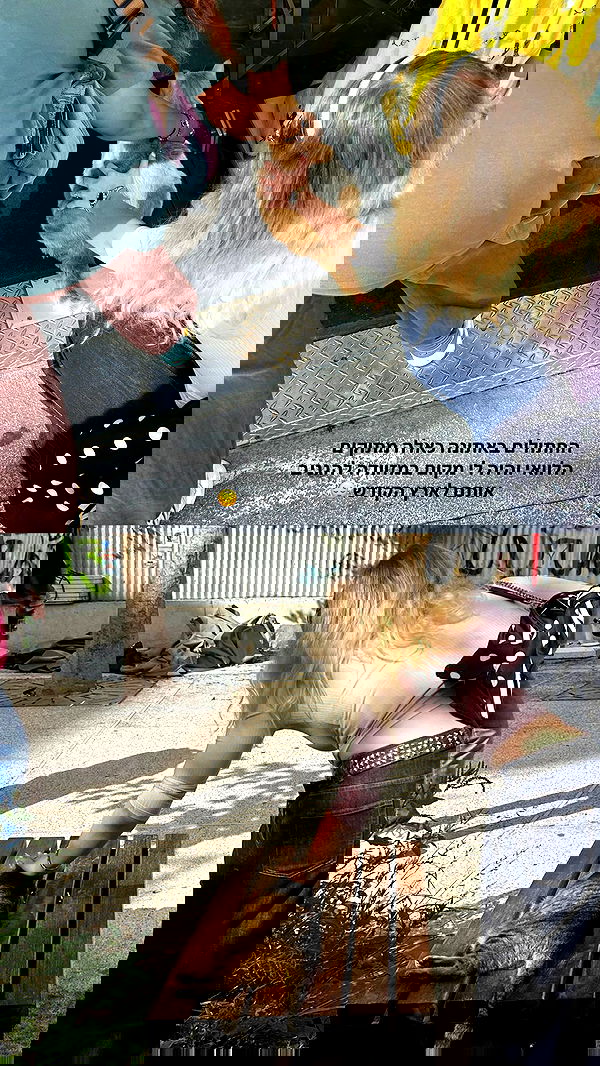 alex.banin alex.banin archive image