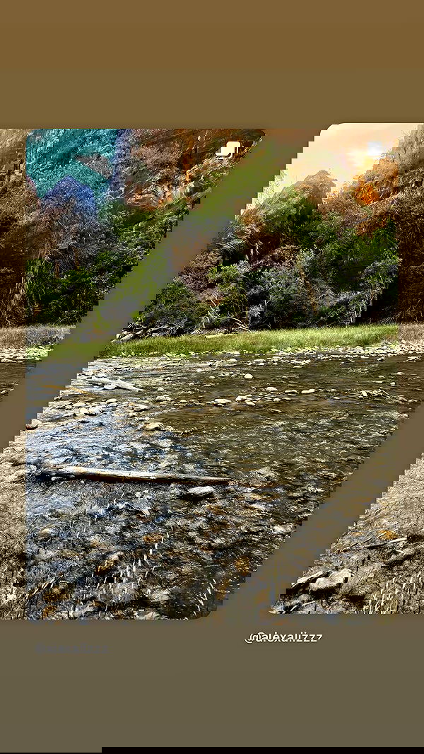 alexalizzz alexalizzz archive image