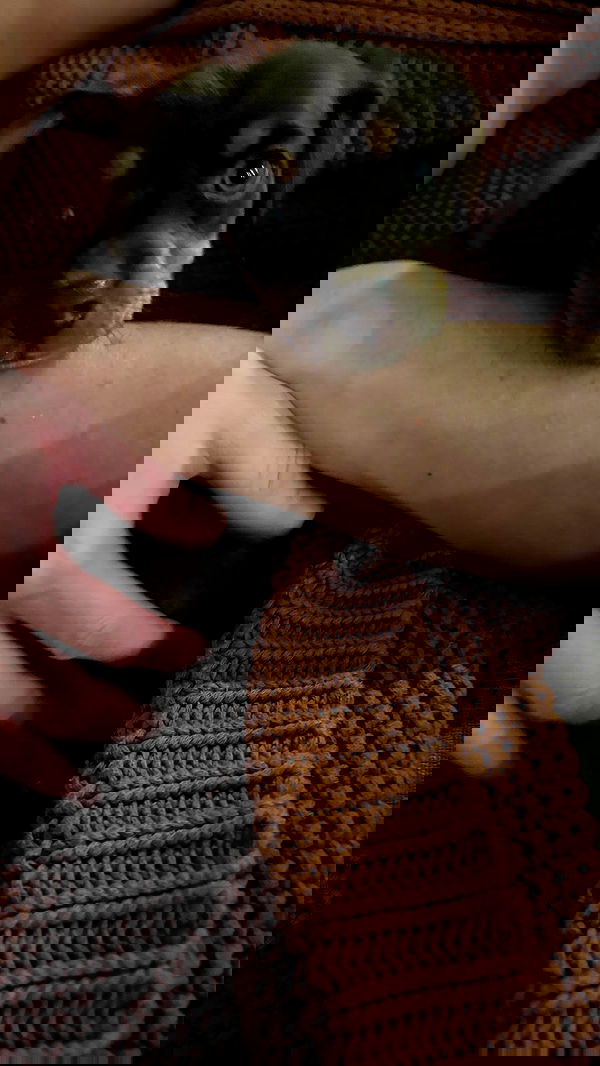 alexalizzz alexalizzz archive image